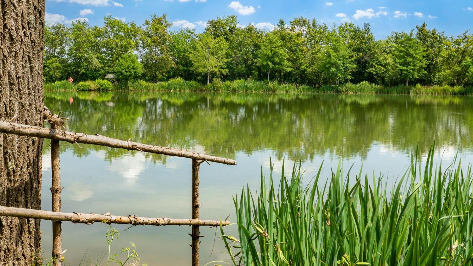 Camping Aubigny-Les Clouzeaux Aubigny  외부 사진
